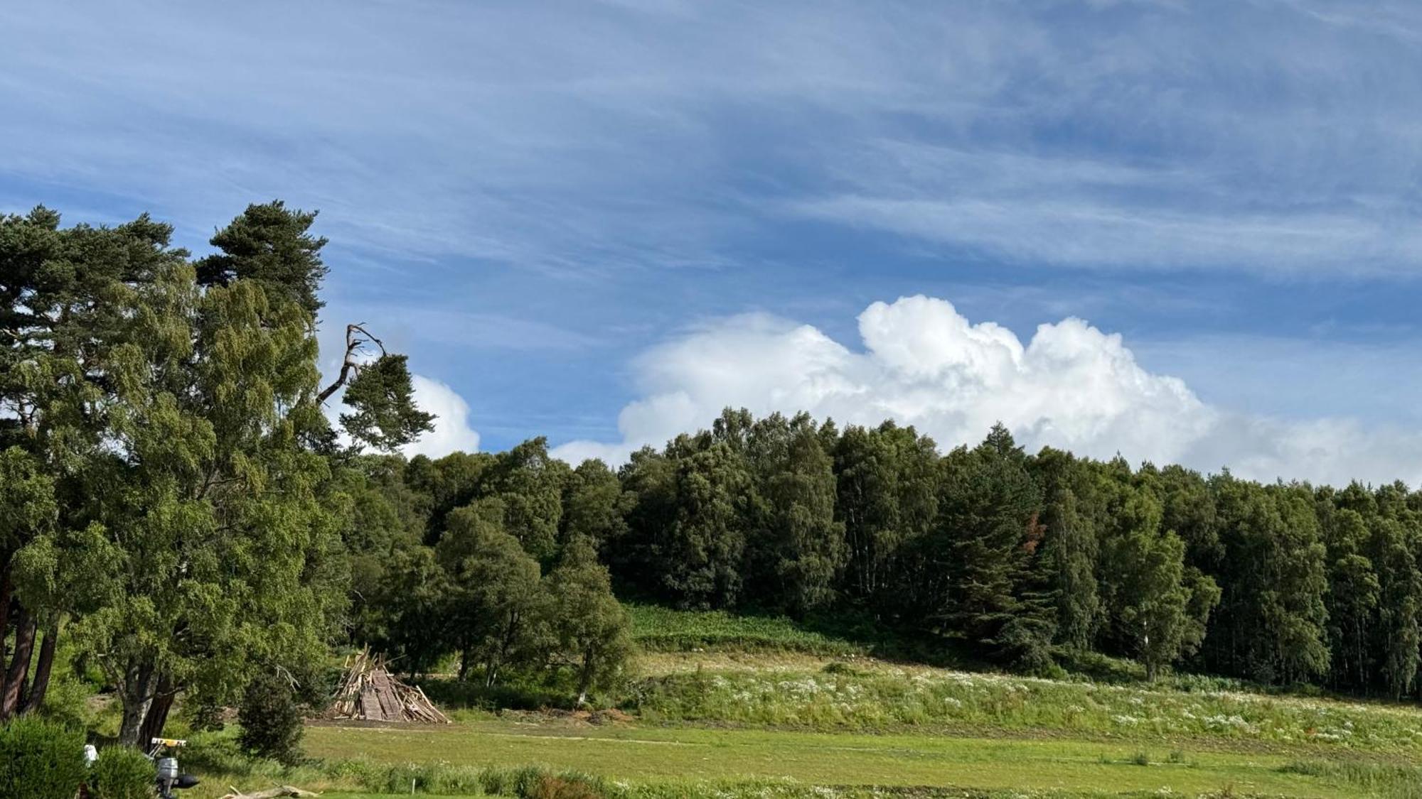 Wildcat Lodge Grantown On Spey מראה חיצוני תמונה